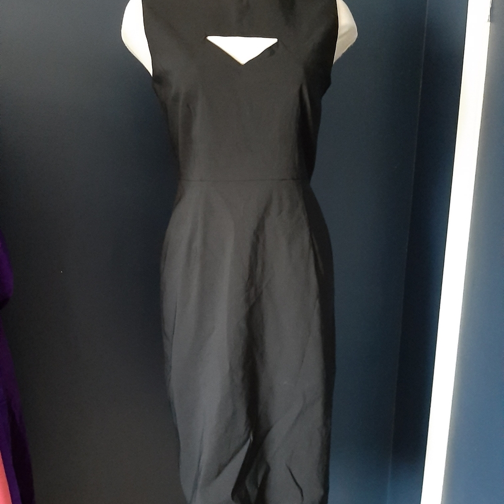 Bettie page dress size large